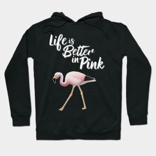 Flamingo Life Is Better In Pink Hoodie